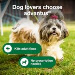 Advantus Dog Advantus Chewable Flea Treatment for Dogs 4 - 22 lbs. | 30 ct. - Image 3