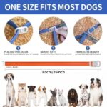 4 Pack Flea Collar for Dogs, 32 Months Flea and Tick Prevention for Dogs, Waterproof Dog Flea Collar, Dog Flea and Tick Treatment, Adjustable Flea and Tick Collar for Dogs Puppy -Blue & Orange - Image 6