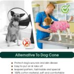 Kuoser Recovery Suit for Female Male Dogs, Dog Surgery Recovery Suit, Dog Onesie After Surgery Spay Neuter, Anti-Licking Pet Surgical Recovery Snugly Suit, Bodysuit for Abdominal Wounds Skin Disease - Image 5