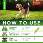 Dog Antibiotics | Natural Antibiotics for Dogs to Help with Infections, Cough, Allergies | Dog UTI Treatment for All Breeds | Puppy & Dog Itch Relief | No GMOs | 2 Oz - Image 4