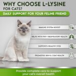 Trulysine L-Lysine for Cats Immune Support Oral Powder 4oz/100g - Cats & Kittens of All Age, Sneezing, Runny Nose Squinting, Watery Eyes - Fish & Poultry Flavor (U.S.A)(100 Grams ( 500mg / Scoop)) - Image 4