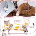 Nuanchu 3 Pieces Cat Recovery Suit Kitten Recovery Suit E-Collar Alternative for Cats and Dogs Abdominal Skin Anti Licking Pajama Clothes Sets(Fruit Pattern,Medium) - Image 6