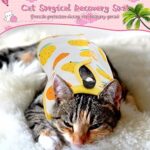 Nuanchu 3 Pieces Cat Recovery Suit Kitten Recovery Suit E-Collar Alternative for Cats and Dogs Abdominal Skin Anti Licking Pajama Clothes Sets(Fruit Pattern,Medium) - Image 5