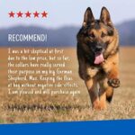 Flea & Tick Collar Plus for Dogs & Puppies |2 Pack |12-Month Protection |One Size Fits All Dogs & Puppies 12 Weeks and Older |Kills Fleas and Ticks |Repels Mosquitoes (excluding California) - Image 8