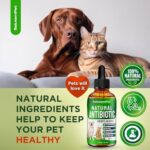 Natural Antibiotics for Dogs to Help with Allergies and UTIs | Kennel Cough Medicine for Dogs | Cat Antibiotics for Infection | Herbal Supplement is Excellent for All Breeds and Ages | 2 oz - Image 8