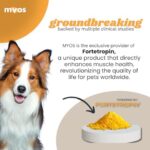 MYOS Canine Muscle Formula - All-Natural Muscle Building Supplement - Helps Reduce Muscle Loss in Aging Dogs and Improve Recovery from Injury or Surgery - Image 5