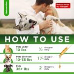 Natural Antibiotics for Dogs to Help with Allergies and UTIs | Kennel Cough Medicine for Dogs | Cat Antibiotics for Infection | Herbal Supplement is Excellent for All Breeds and Ages | 2 oz - Image 5