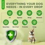 Dog Antibiotics | Natural Antibiotics for Dogs to Help with Infections, Cough, Allergies | Dog UTI Treatment for All Breeds | Puppy & Dog Itch Relief | No GMOs | 2 Oz - Image 2