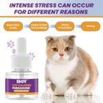 Cat Pheromones Calming Diffuser – Therapet Md Cat Diffuser Refills 4 x 48ml & 1 Plug Cat Calming Diffuser | Pheromone Diffuser for Cats, Reduces Stress & Anxiety Naturally - Image 3