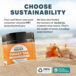 Turkey Tail Mushroom for Dogs - Whole, Organic Mushroom Extract - Over 50% Beta-Glucan - Third Party Tested, Made in The USA - No Grains No Fillers - 60 Day Large Dog Supply - Image 8
