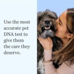 Wisdom Panel Essential Dog DNA Kit: Most Accurate Test for 365+ Breeds, 30 Genetic Health Conditions, 50+ Traits, Relatives, Ancestry - 1 Pack - Image 7