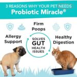 Probiotics for Cats & Dogs : Probiotic Miracle : Bowel & Gut Support : Digestive Health : Stop Diarrhea, Loose Stool - Image 2