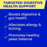 Pet Probiotics for Dogs & Digestive Enzymes for Dogs | Gut Health & Digestive Function Support | Pumpkin & Omega | Prebiotic Supplement Chews - Image 2
