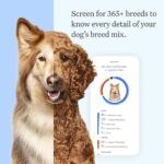 Wisdom Panel Essential Dog DNA Kit: Most Accurate Test for 365+ Breeds, 30 Genetic Health Conditions, 50+ Traits, Relatives, Ancestry - 1 Pack - Image 2