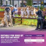 Glucosamine for Dogs 200pcs Joint Support Supplement Dog Hip and Joint Chondroitin Chews Treats with MSM Hemp Dog Joint Pain Relief Mobility Supplements Chicken Flavor Fit All Large Small Medium Breed - Image 7