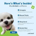 Pet Wellbeing Life Gold for Dogs - Vet-Formulated - Immune Support and Antioxidant Protection - Natural Herbal Supplement 2 oz (59 ml) - Image 4