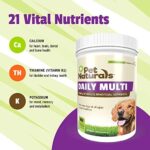 Pet Naturals Daily Multivitamin for Dogs, Veggie Flavor, 150 Chews - Yummy Chews with Amino Acids, and Antioxidants - Supports Energy, Metabolic Function and Pet Wellness - Image 6