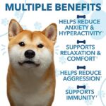 Hemp Calming Chews for Dogs with Anxiety and Stress - 180 Soft Dog Calming Treats - Dog Anxiety Relief - Storms, Fireworks, Thunder, Barking, Separation Aid - Valerian Root - L-Tryptophan - Hemp Oil - Image 5