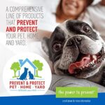 Flea & Tick Collar Plus for Dogs & Puppies |2 Pack |12-Month Protection |One Size Fits All Dogs & Puppies 12 Weeks and Older |Kills Fleas and Ticks |Repels Mosquitoes (excluding California) - Image 7