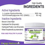 Trulysine Plus L-Lysine for Cats Immune Support Oral Powder 8oz/226g - Cats & Kittens of All Age, Sneezing, Runny Nose Squinting, Watery Eyes-Fish & Poultry Flavor (U.S.A)(225 Grams (900mg / Scoop)) - Image 2
