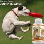 Amazing Turmeric for Dogs Curcumin Pet Antioxidant, Eliminates Joint Pain Inflammation, 120 Chews - Image 3