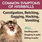 Fidobiotics - Meowbiotics Hairball Buster Powder for Cats with Probiotics 2 Billion CFU Smoked Fish Chowdah Flavor - 30 Serving(s) - Image 8