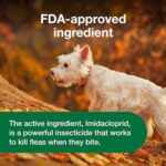 Advantus Dog Advantus Chewable Flea Treatment for Dogs 4 - 22 lbs. | 30 ct. - Image 7