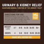 Earth Animal Herbal Remedies | Urinary and Kidney Relief | 2 fl oz - Image 5