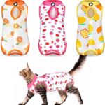 Nuanchu 3 Pieces Cat Recovery Suit Kitten Recovery Suit E-Collar Alternative for Cats and Dogs Abdominal Skin Anti Licking Pajama Clothes Sets(Fruit Pattern,Medium)