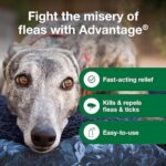Advantage Dog Flea Treatment Spray | Kills Fleas & Ticks | Dog Flea Spray | 15 oz. - Image 6