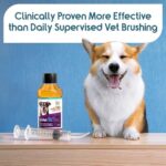Recommended by Veterinarians Because it Simply Works Better. ioVet Oral Pet Water additive effortlessly Helps Your pet to The Clean, Healthy Mouth & Dazzling Fresh Breath You've Always Hoped for. - Image 2