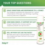 Vetoquinol Enisyl-F Oral Paste: L-Lysine Supplement for Cats - Tuna Flavor, 3.5oz (100mL) Pump - Image 6