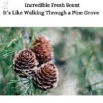 Lightfoot's Pine Soap for Men (Set of 4 Bars) All Natural Pine Scented Mens Athletic Soap for Body or Hands - Image 2