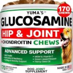 YUMA'S Glucosamine for Dogs - Hip and Joint Supplement for Dogs - 170 Ct - Glucosamine Chondroitin Chews - Joint Pain Relief Supplement with MSM - Advanced Health - Mobility Support - Made in USA