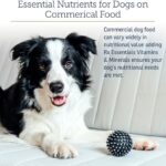 Rx Vitamins Essentials for Dogs - Daily Dog Multivitamin Powder - with Blue Spirulina for Dogs, Kelp Powder, and Milk Thistle for Dogs - Complete Dog Vitamins and Essential Minerals - 8 oz - Image 4