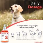 Salmon Oil for Dogs - Healthy Skin & Coat, All Natural Norwegian Fish Oil Food Supplement for Pets, Omega 3 EPA DHA, Ideal for Shedding, Allergy, Itching, Dry Skin, Joint & Bone Health - 16.9 Oz - Image 7