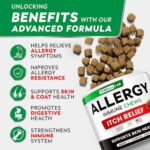 StrellaLab Dog Allergy Relief & Anti Itch Support Chews w/Omega 3: Real Ingredients, Real Taste! Skin & Coat Immune Supplement w/Fish Oil, Pumpkin & Enzymes — Developed by Experts - Made in USA -240Ct - Image 2