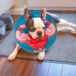 BEAUTYZOO Dog Cone Collar After Surgery for Large Medium Dogs, Soft Dog Cone Alternative to Stop Licking, Comfortable Inflatable Dog Recovery Cones, Dog Neck Donut Not Block Vision E-Collar, Blue M - Image 8