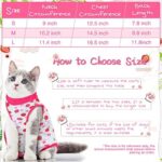 Nuanchu 3 Pieces Cat Recovery Suit Kitten Recovery Suit E-Collar Alternative for Cats and Dogs Abdominal Skin Anti Licking Pajama Clothes Sets(Fruit Pattern,Medium) - Image 2