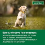 Advantus Dog Advantus Chewable Flea Treatment for Dogs 4 - 22 lbs. | 30 ct. - Image 9