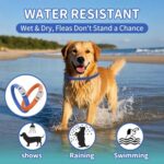 4 Pack Flea Collar for Dogs, 32 Months Flea and Tick Prevention for Dogs, Waterproof Dog Flea Collar, Dog Flea and Tick Treatment, Adjustable Flea and Tick Collar for Dogs Puppy -Blue & Orange - Image 5