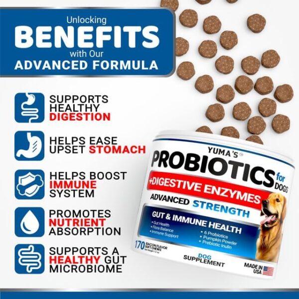 Probiotics for Dogs and Digestive Enzymes - 170 Dog Probiotics Chews - Dog Probiotic - Anti Diarrhea, Upset Stomach & Gas Relief, Canine Prebiotic - Pet Fiber Supplement - Bacon Flavor - Image 2