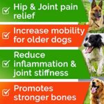 Hemp Chews for Dogs - Glucosamine Chondroitin for Dogs Joint Pain Relief with Hemp Oil, Hip & Joint Supplement Dogs, MSM Turmeric for Dogs Mobility, Dog Joint Supplement, Hemp Dog Treats Joints Health - Image 4