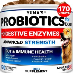Probiotics for Dogs and Digestive Enzymes - 170 Dog Probiotics Chews - Dog Probiotic - Anti Diarrhea, Upset Stomach & Gas Relief, Canine Prebiotic - Pet Fiber Supplement - Bacon Flavor