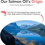 Salmon Oil for Dogs - Healthy Skin & Coat, All Natural Norwegian Fish Oil Food Supplement for Pets, Omega 3 EPA DHA, Ideal for Shedding, Allergy, Itching, Dry Skin, Joint & Bone Health - 16.9 Oz - Image 6