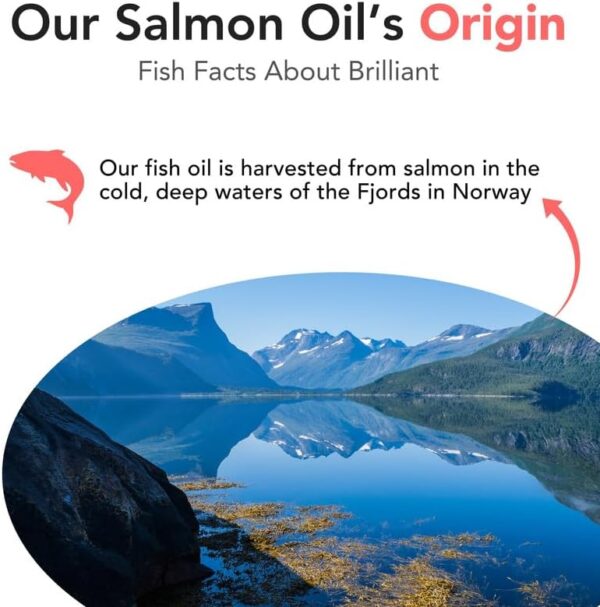 Salmon Oil for Dogs - Healthy Skin & Coat, All Natural Norwegian Fish Oil Food Supplement for Pets, Omega 3 EPA DHA, Ideal for Shedding, Allergy, Itching, Dry Skin, Joint & Bone Health - 16.9 Oz - Image 6