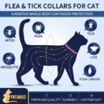 4 Pack Flea Collar for Cats, 32 Months Flea and Tick Prevention for Cats, Waterproof Cat Flea Collar, Natural Cat Flea and Tick Treatment, Adjustable Flea and Tick Collar for Cats Kittens(Pink&Purple) - Image 2